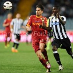 BORRIELLO2copia