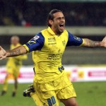moscardelli1