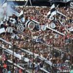 colo-colo-300x213.jpg