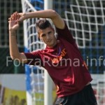 lamela_allird-300x200.jpg
