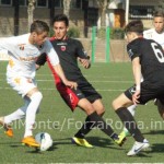 SONY DSC