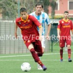 SONY DSC