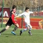 SONY DSC