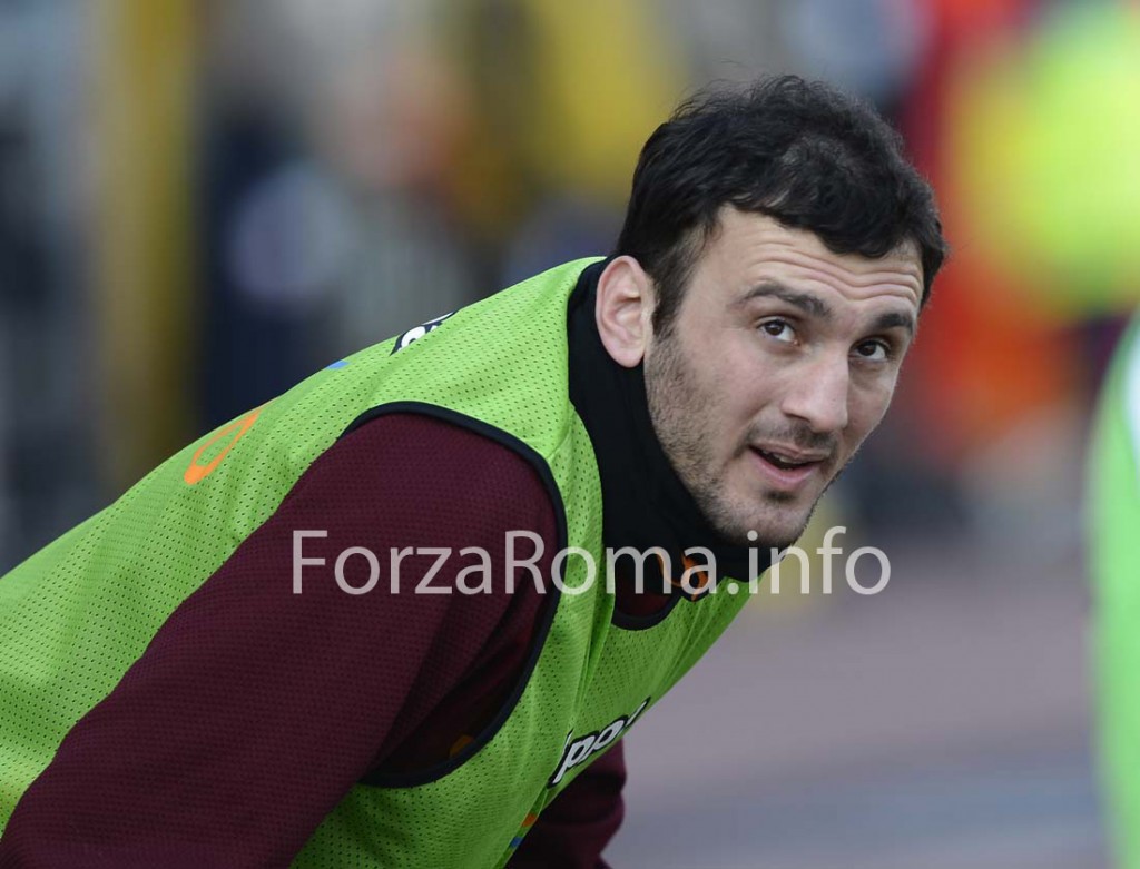 torosidis_bologna-3.jpg