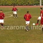 aaallievi.jpg