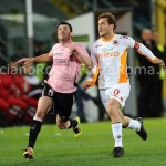 totti-bovo1copia.jpg