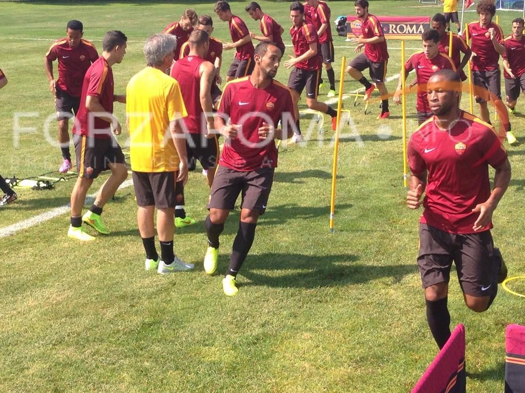 Benatia_usa.jpg
