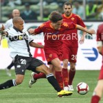 taddei2.jpg
