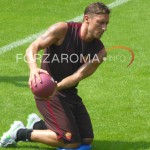 totti_all1.jpg