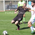 balzaretti_primavera-6.jpg
