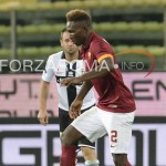 mbwa_yanga_parma.jpg