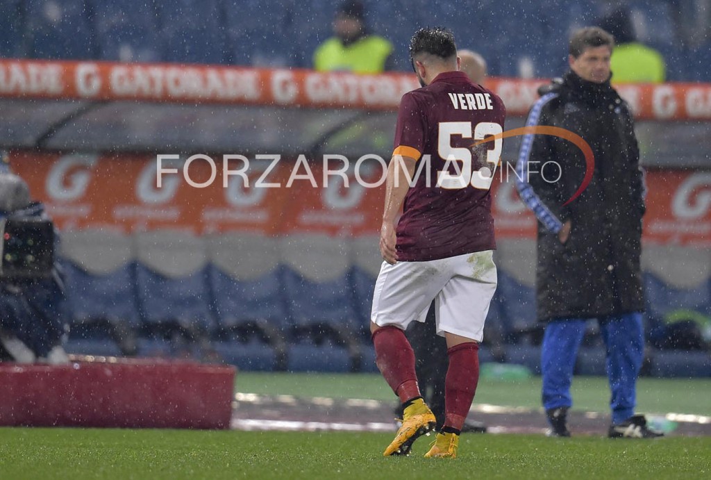 totti_samp1.jpg