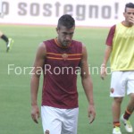 strootman_risc1.jpg