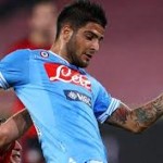 insigne_nap.jpg