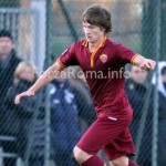 jedvaj_primavera-300x265.jpg