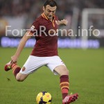 torosidis_4.jpg