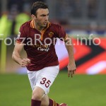 torosidis_5.jpg