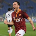 torosidis_gol.jpg