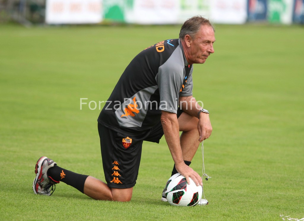 zeman_irdining31.jpg