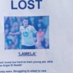 lamela-volantino-300x169.jpg