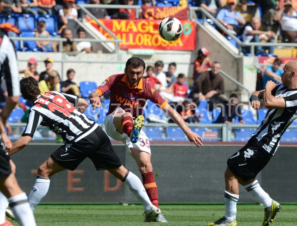 torosidis_rm.jpg