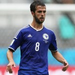 Bosnia-Herzegovina v Iran: Group F - 2014 FIFA World Cup Brazil