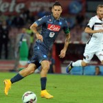 hamsik