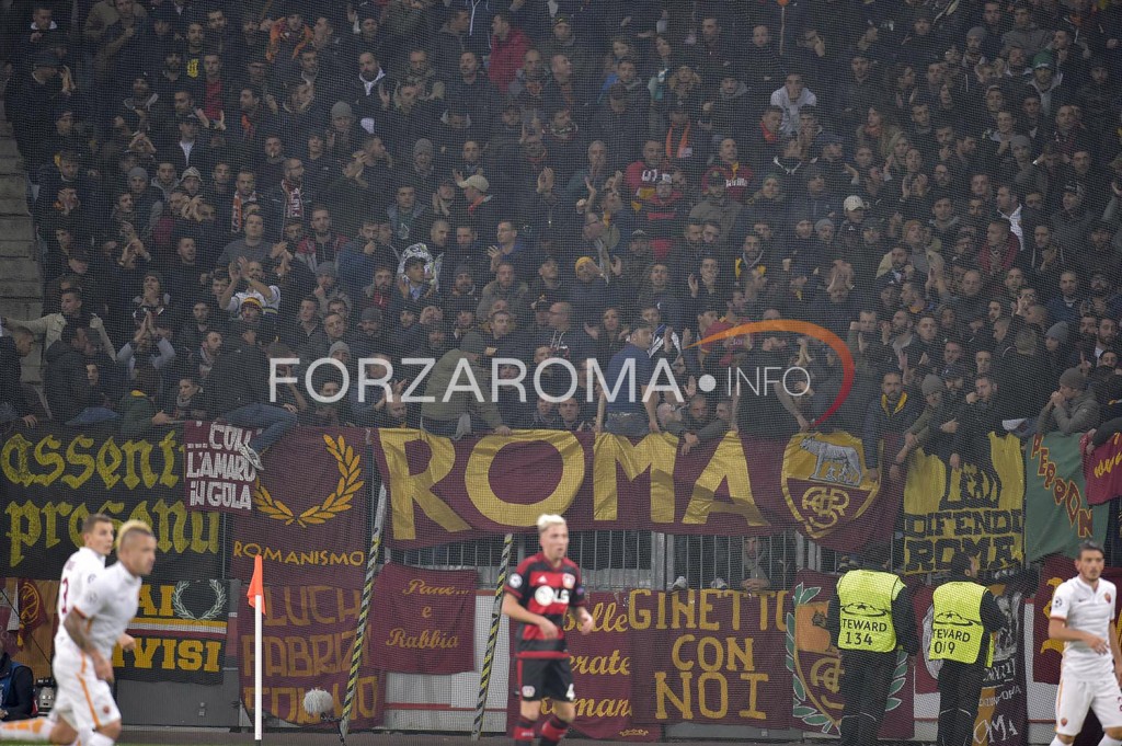 bayer_roma20102015-7