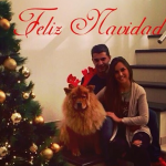 falque natale copertina