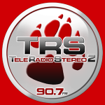 teleradiostereo