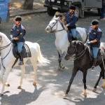 cavallo