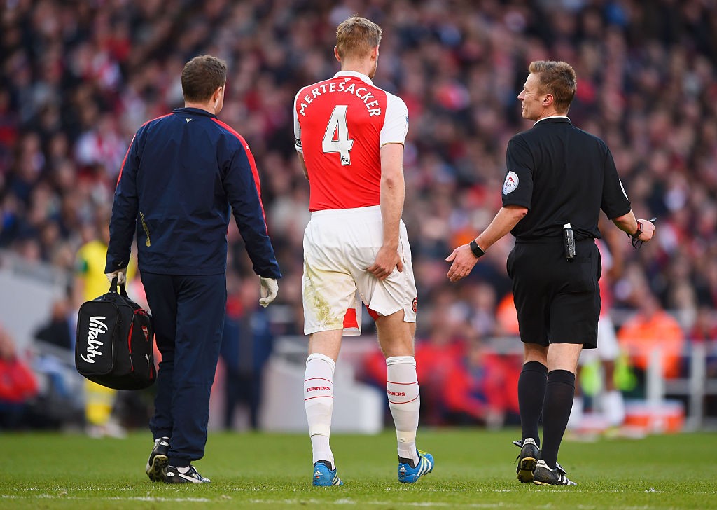 mertesacker