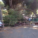 albero_olimpico