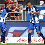 ibisevic