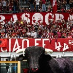 tifosi torino