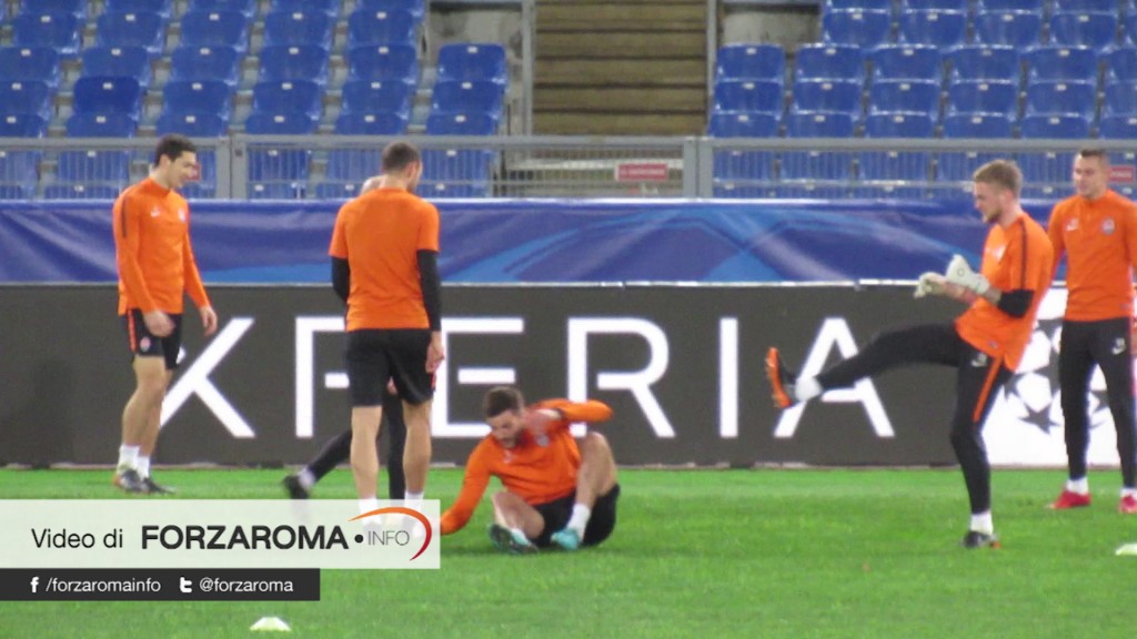 frame shakhtar