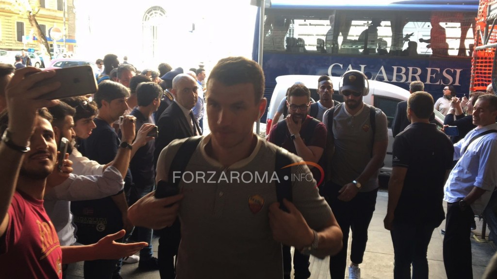 dzeko termini