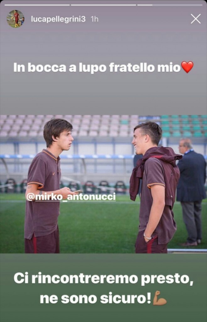 lucapellegrini-antonucci