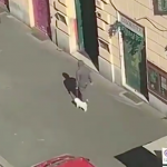 tifoso video san lorenzo coro