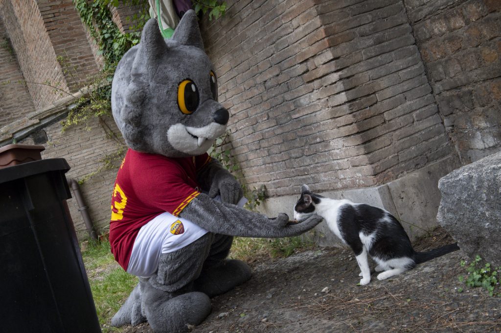 Emergenza Coronavirus, Roma Cares ha donato cibo per cani e per gatti a delle associazioni di volontariato della Capitale