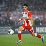 zeljko-gavric