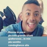 willy zaniolo