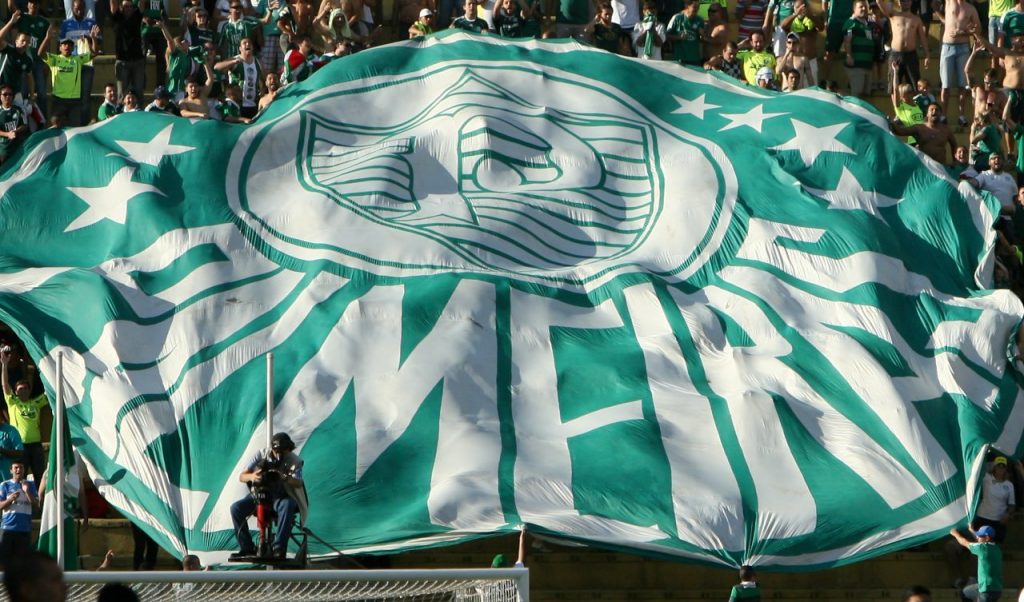 logo palmeiras vina jorge