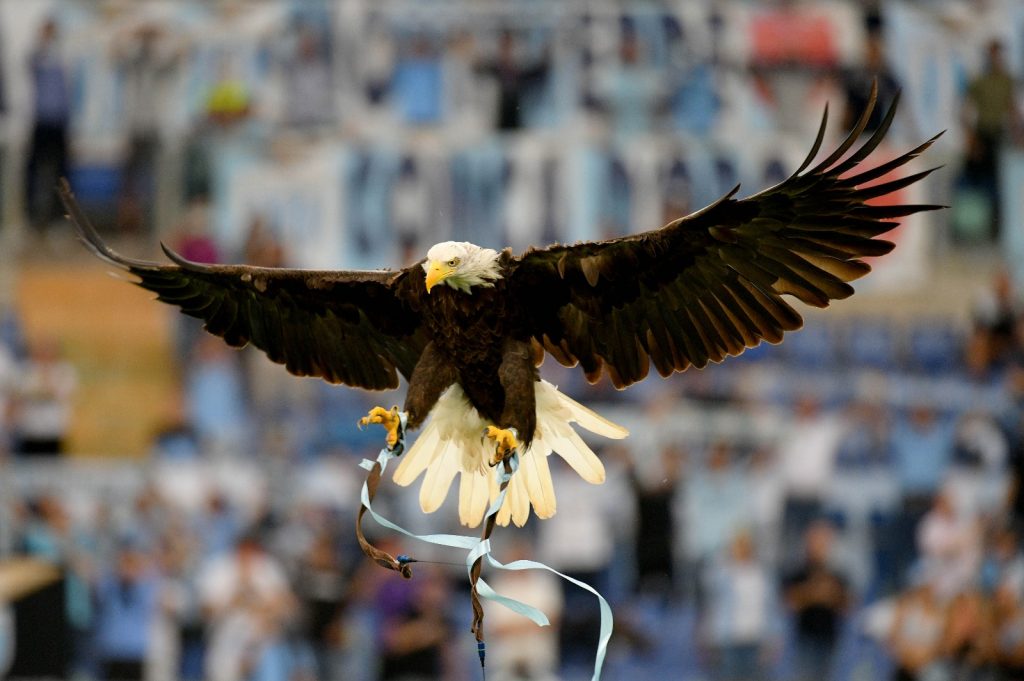 olimpia