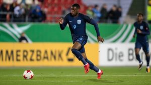 mavididi