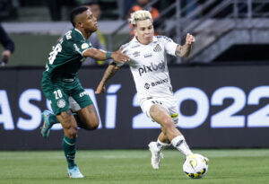 Palmeiras v Santos  - Brasileirao 2022