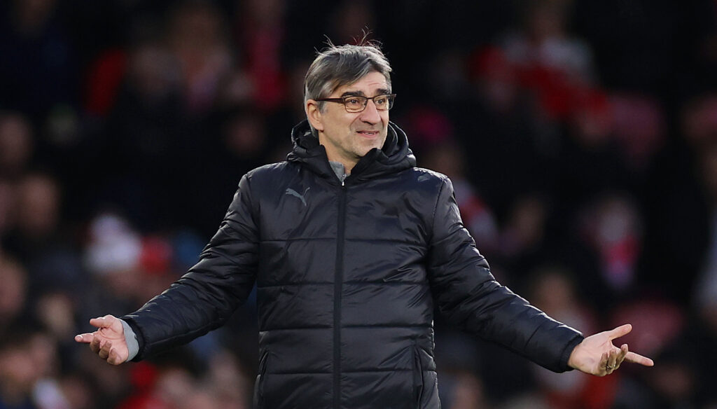 Juric Southampton FC v Newcastle United FC - Premier League