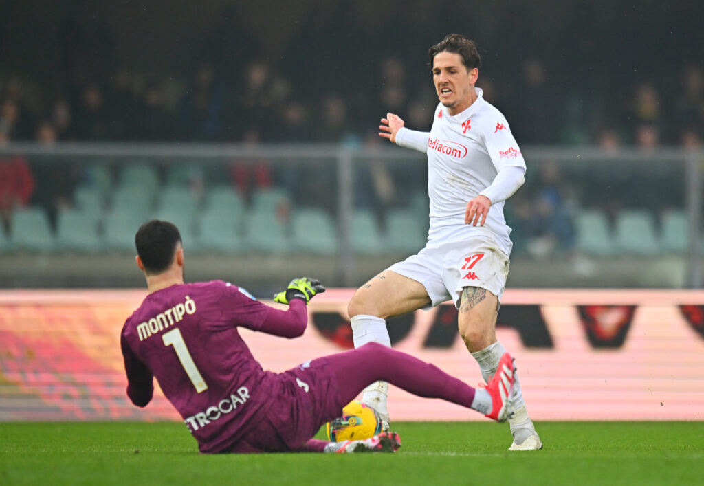 Verona v Fiorentina - Serie A