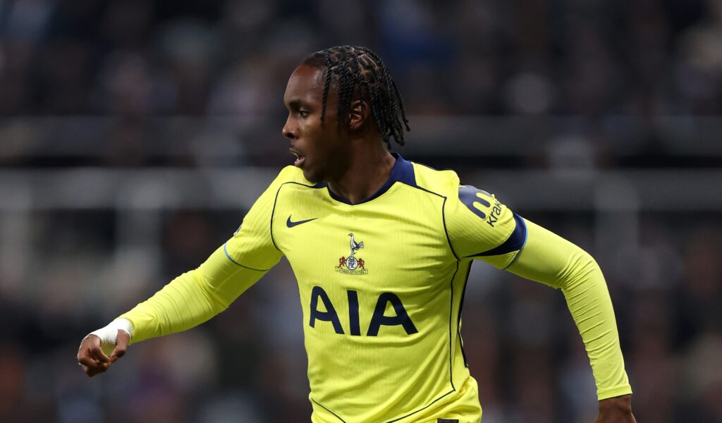 Tel Newcastle United v Tottenham Hotspur - Premier League