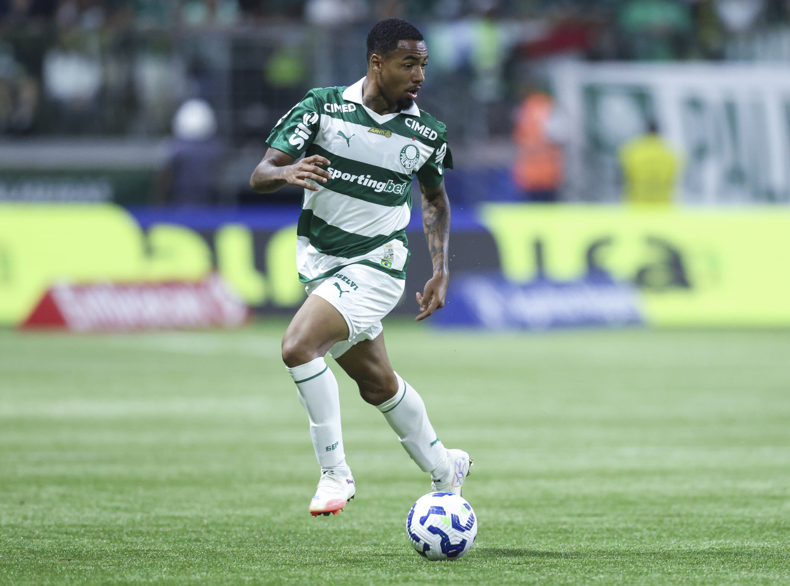 Palmeiras v Vitoria - Brasileirao 2025